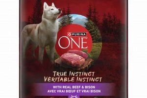 Best Beef & Bison Dog Food: Fuel Your Pup! | World’s Most Delicious Foods: Must-Try Dishes from Every Country