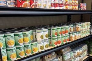 Donate Now: Mattoon Food Bank - Fight Hunger Today! | World’s Most Delicious Foods: Must-Try Dishes from Every Country