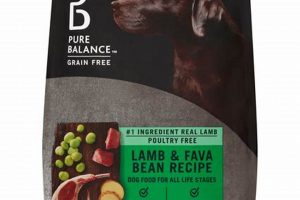 Best Dry Dog Food with Lamb: Healthier Dogs Today! | World’s Most Delicious Foods: Must-Try Dishes from Every Country