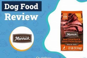 Honest Reviews of Merrick Dog Food: Is It Right for Your Dog? | World’s Most Delicious Foods: Must-Try Dishes from Every Country