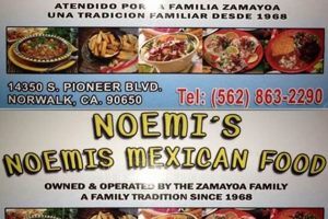 Best Mexican Food Norwalk, CT: Find Authentic Eats! | World’s Most Delicious Foods: Must-Try Dishes from Every Country