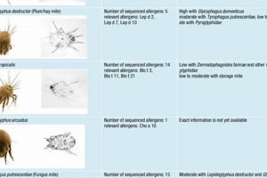 Are Dog Food Storage Mites Harmful? + Prevention Tips | World’s Most Delicious Foods: Must-Try Dishes from Every Country
