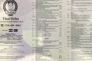 Ocha Thai Food Menu: Your Delicious Thai Guide | World’s Most Delicious Foods: Must-Try Dishes from Every Country