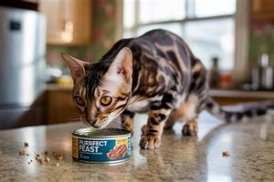 Expired Cat Food Dangers: Know the Risks &amp; What to Do! | World’s Most Delicious Foods: Must-Try Dishes from Every Country