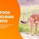 Top-Rated Puppy Food for Belgian Malinois Growth! | World’s Most Delicious Foods: Must-Try Dishes from Every Country