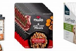 Best Gently Cooked Dog Food Brands: Healthy Choice Now! | World’s Most Delicious Foods: Must-Try Dishes from Every Country