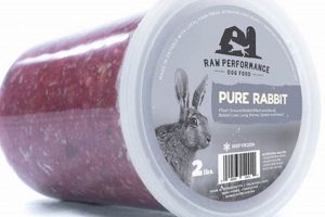 Is Rabbit Dog Food the Best? A Complete Guide! | World’s Most Delicious Foods: Must-Try Dishes from Every Country