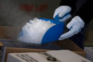 Dry Ice: How Long Can Dry Ice Keep Food Frozen Fresh? | World’s Most Delicious Foods: Must-Try Dishes from Every Country