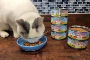 Best Wet Food for Cat Constipation Relief: A Guide | World’s Most Delicious Foods: Must-Try Dishes from Every Country