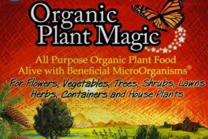Discover the Best Organic Plant Food Grow Healthier | World’s Most Delicious Foods: Must-Try Dishes from Every Country