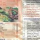 Best Chinese Food Florence SC: Your Local Guide | World’s Most Delicious Foods: Must-Try Dishes from Every Country