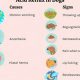 Best Acid Reflux Dog Food: Soothe Your Pup + Tips | World’s Most Delicious Foods: Must-Try Dishes from Every Country
