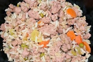Best Turkey & Rice Dog Food: Healthy & Balanced Meals | World’s Most Delicious Foods: Must-Try Dishes from Every Country