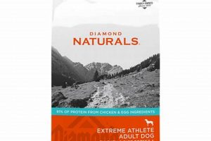 Is Diamond Naturals Extreme Athlete Dog Food Best? Review | World’s Most Delicious Foods: Must-Try Dishes from Every Country