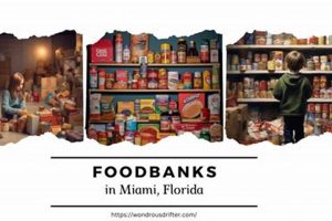 Find Food: Food Banks in Miami Near You (Resources) | World’s Most Delicious Foods: Must-Try Dishes from Every Country