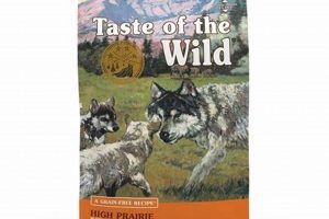 Best High Prairie Dog Food for Your Active Pup + Tips | World’s Most Delicious Foods: Must-Try Dishes from Every Country