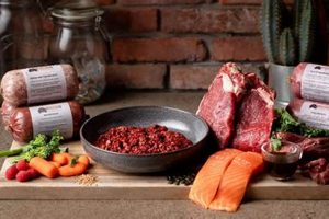Best Texas Made Raw Dog Food: Local & Healthy | World’s Most Delicious Foods: Must-Try Dishes from Every Country