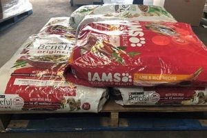 Buy Smart: Wholesale Dry Dog Food in Bulk Deals | World’s Most Delicious Foods: Must-Try Dishes from Every Country