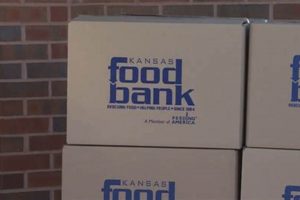 Manhattan KS Food Bank: Help Fight Hunger Locally | World’s Most Delicious Foods: Must-Try Dishes from Every Country