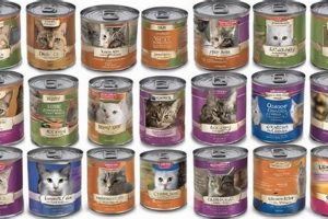 Best Canned Cat Food Made in USA: Reviews & Guide | World’s Most Delicious Foods: Must-Try Dishes from Every Country