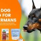 Best Doberman Dog Food: Fueling Your Dobe's Health &amp; Vitality | World’s Most Delicious Foods: Must-Try Dishes from Every Country
