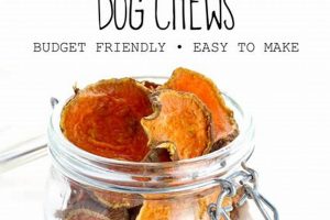 Best Dog Food with Sweet Potatoes: Healthy &amp; Tasty! | World’s Most Delicious Foods: Must-Try Dishes from Every Country