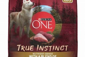 Best Turkey Dog Food: Healthy &amp; Delicious Meals! | World’s Most Delicious Foods: Must-Try Dishes from Every Country