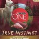 Best Turkey Dog Food: Healthy &amp; Delicious Meals! | World’s Most Delicious Foods: Must-Try Dishes from Every Country