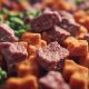 Best Soft Food for Dogs with No Teeth: Complete Guide | World’s Most Delicious Foods: Must-Try Dishes from Every Country