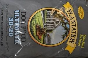 Best Plantation Dog Food: A Wholesome Choice [Guide] | World’s Most Delicious Foods: Must-Try Dishes from Every Country