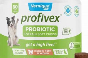 Reducing Dog Food Strain: Diet & Gut Health for Dogs | World’s Most Delicious Foods: Must-Try Dishes from Every Country