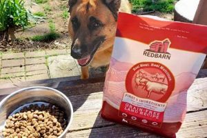 Best Red Barn Dog Food Reviews: Is It Right For *Your* Dog? World’s Most Delicious Foods: Must-Try Dishes from Every Country Best Red Barn Dog Food Reviews: Is It Right For *Your* Dog? | World’s Most Delicious Foods: Must-Try Dishes from Every Country