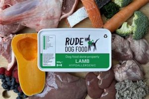 Is Lamb Raw Dog Food Right for Your Dog? + Benefits | World’s Most Delicious Foods: Must-Try Dishes from Every Country