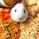 Guinea Pigs & Rabbit Food? Is It Safe? | World’s Most Delicious Foods: Must-Try Dishes from Every Country