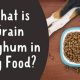 Is Grain Sorghum Good in Dog Food? Benefits & Risks | World’s Most Delicious Foods: Must-Try Dishes from Every Country