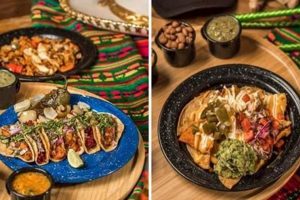 Best Mexican Food Dublin Ohio: A Local's Guide World’s Most Delicious Foods: Must-Try Dishes from Every Country Best Mexican Food Dublin Ohio: A Local's Guide | World’s Most Delicious Foods: Must-Try Dishes from Every Country