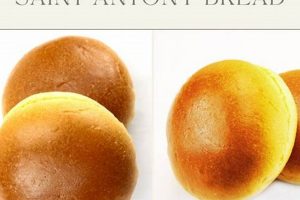 Local St. Anthony's Bread Food Pantry: Feed Hope Today! World’s Most Delicious Foods: Must-Try Dishes from Every Country Local St. Anthony's Bread Food Pantry: Feed Hope Today! | World’s Most Delicious Foods: Must-Try Dishes from Every Country