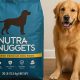 Nutra Nuggets Dog Food: Is It Really Good? [Review] | World’s Most Delicious Foods: Must-Try Dishes from Every Country