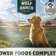 Is Lone Wolf Dog Food Good? Reviews + Analysis | World’s Most Delicious Foods: Must-Try Dishes from Every Country