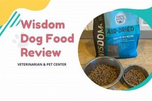 Best Wisdom Dog Food: Fueling Canine Health & Vitality | World’s Most Delicious Foods: Must-Try Dishes from Every Country
