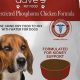 Dave's Dog Food: Expert Nutrition Guide for Your Best Friend | World’s Most Delicious Foods: Must-Try Dishes from Every Country