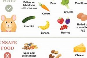 Prefix: Do Mice Like Dog Food? Suffix | Dog Guide | World’s Most Delicious Foods: Must-Try Dishes from Every Country