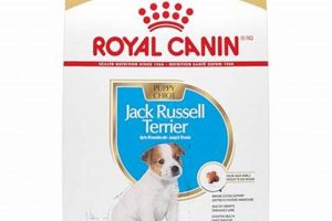 Best Dry Dog Food for Jack Russells: Fueling Active Terriers! | World’s Most Delicious Foods: Must-Try Dishes from Every Country