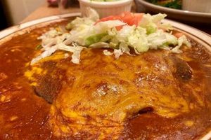 Best Mexican Food New Lenox, IL: Your Guide! | World’s Most Delicious Foods: Must-Try Dishes from Every Country