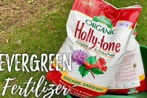 Top Evergreen Food: Best Plant Foods + Expert Tips! | World’s Most Delicious Foods: Must-Try Dishes from Every Country
