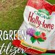 Top Evergreen Food: Best Plant Foods + Expert Tips! | World’s Most Delicious Foods: Must-Try Dishes from Every Country