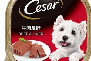 Best Dog Food: Beef Liver for a Healthy Pup! | World’s Most Delicious Foods: Must-Try Dishes from Every Country