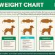 Best Dog Food to Help Put On Weight: A Complete Guide | World’s Most Delicious Foods: Must-Try Dishes from Every Country