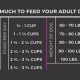 Dog Food Guide: How Many Cups in 30 Pounds? | World’s Most Delicious Foods: Must-Try Dishes from Every Country