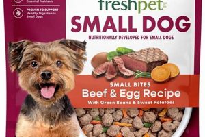Best Beef Dog Food: Fuel Your Pup's Health! | World’s Most Delicious Foods: Must-Try Dishes from Every Country